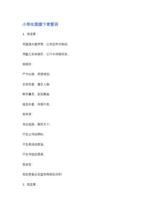 快乐度暑假国旗下宣誓词