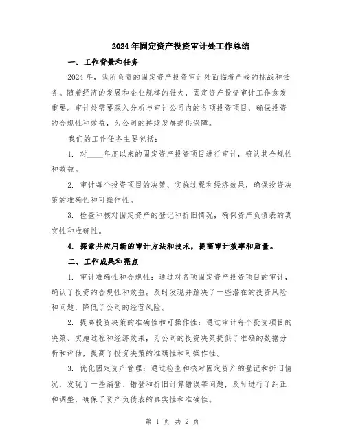2024年固定资产投资审计处工作总结