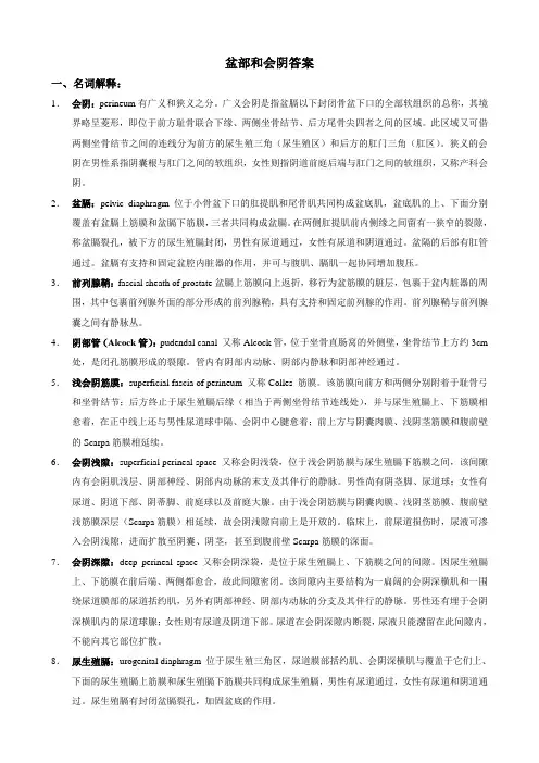 05 盆部和会阴