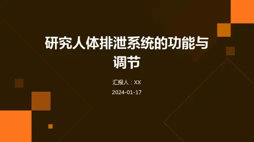 研究人体排泄系统的功能与调节