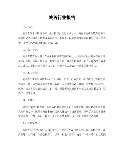 陕西行业报告