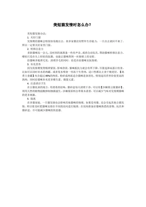 美短猫发情时怎么办？