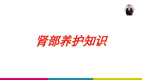 医学医疗-肾部养护知识培训课件