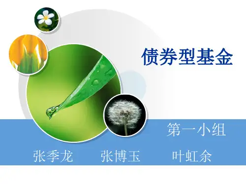 债券型基金PPT课件