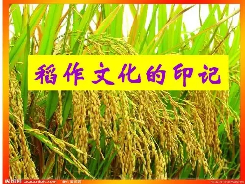 稻作文化的印记
