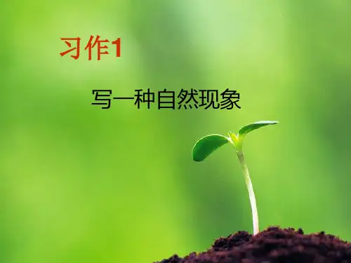 五年级下语文-习作写一种自然现象_苏教版-ppt下载