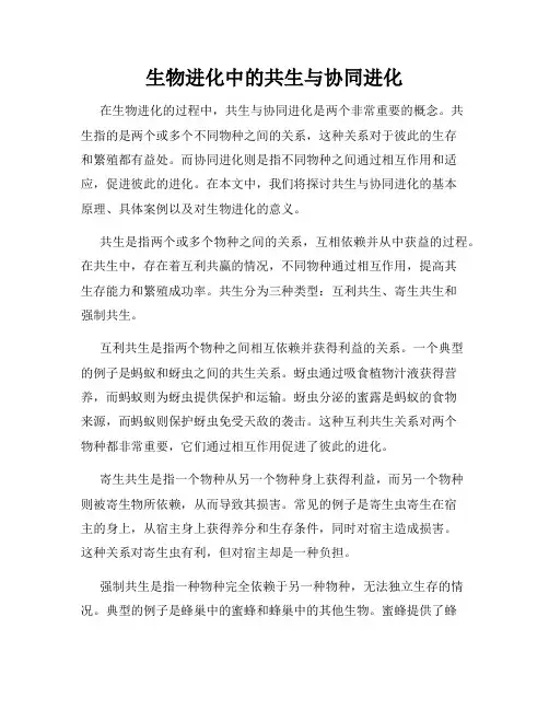 生物进化中的共生与协同进化