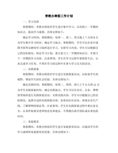 青教办寒假工作计划