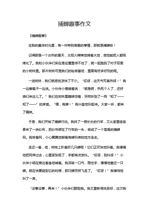 捕蝉趣事作文