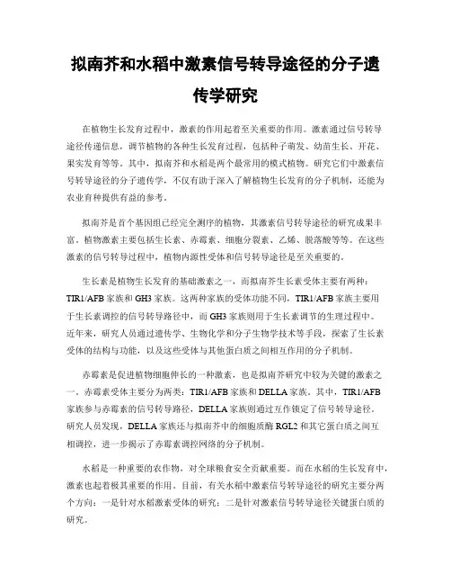 拟南芥和水稻中激素信号转导途径的分子遗传学研究