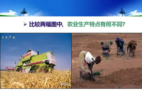 专题22 农业区位与农业地域类型(二)