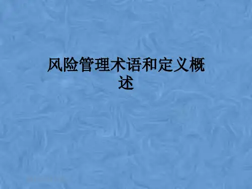 风险管理术语和定义概述