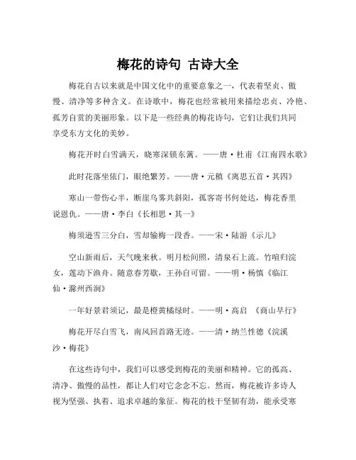 梅花的诗句 古诗大全