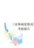 三亚休闲度假旅游地产项目考察研究报告_134页