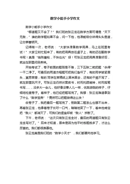 数学小能手小学作文