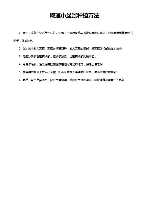 碗莲小盆景种植方法