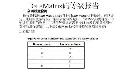 DataMatrix码等级报告