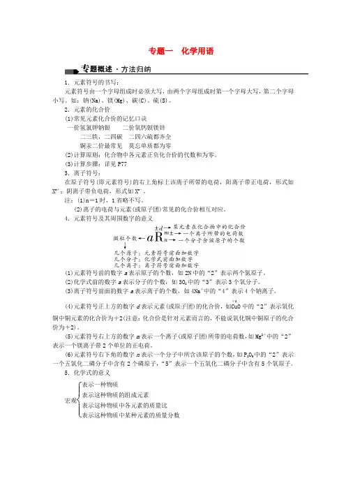 中考化学总复习 第二篇 专题聚焦 专题一 化学用语试题