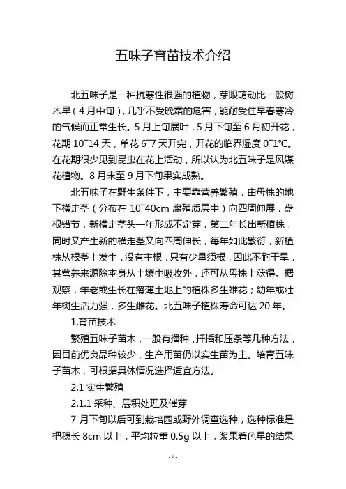 五味子育苗技术介绍