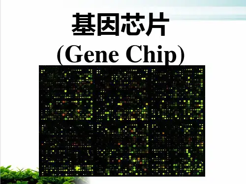 基因芯片的分类与应用(PPT20张)