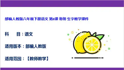 部编人教版六年级下册语文 第8课 匆匆 生字教学课件