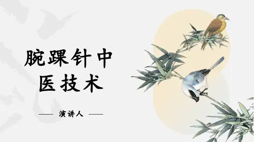 腕踝针中医技术ppt模板