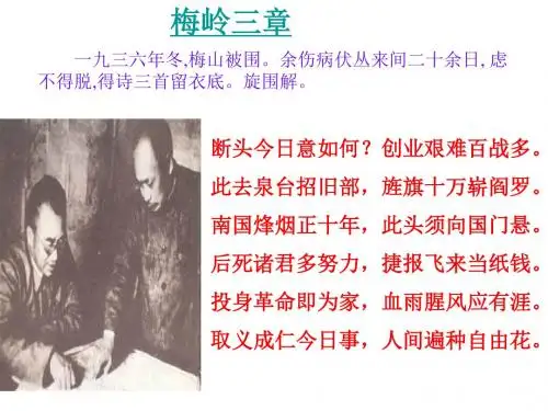 最新苏教版九年级语文下册课件：《陈毅市长》