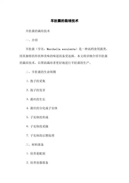 羊肚菌的栽培技术