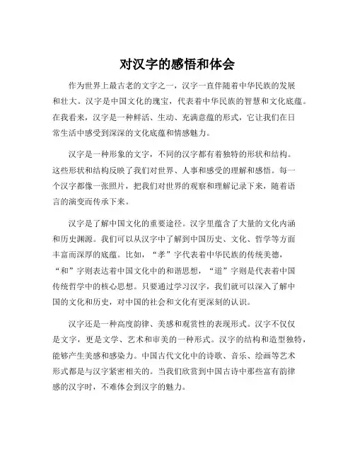 对汉字的感悟和体会