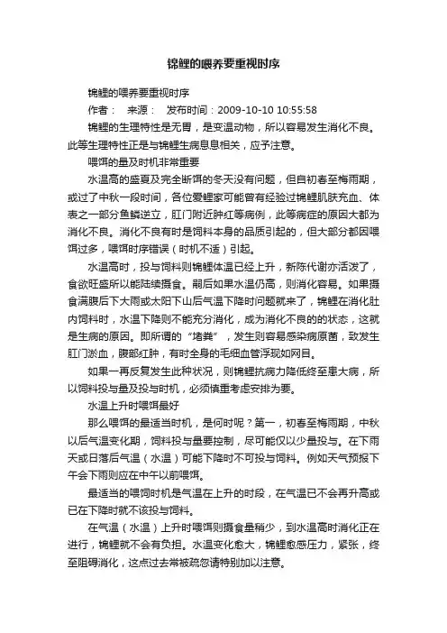 锦鲤的喂养要重视时序