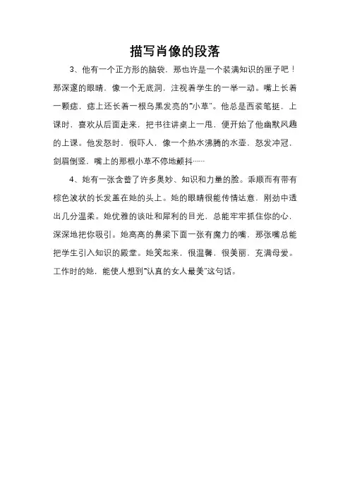 描写肖像的段落