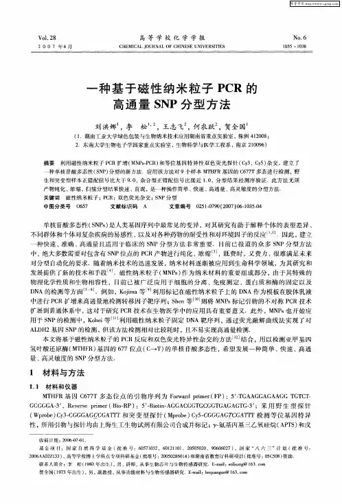 一种基于磁性纳米粒子PCR的高通量SNP分型方法