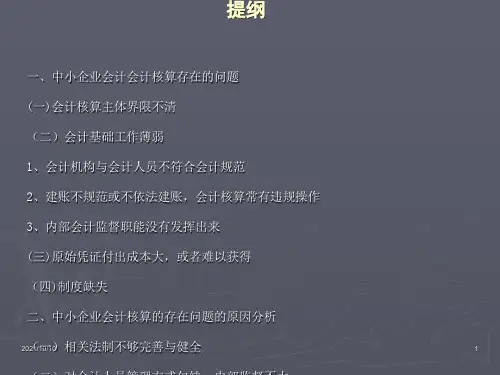 中小企业会计核算存在的问题及对策【优质PPT】
