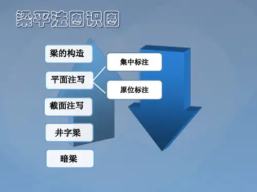梁、板平法图