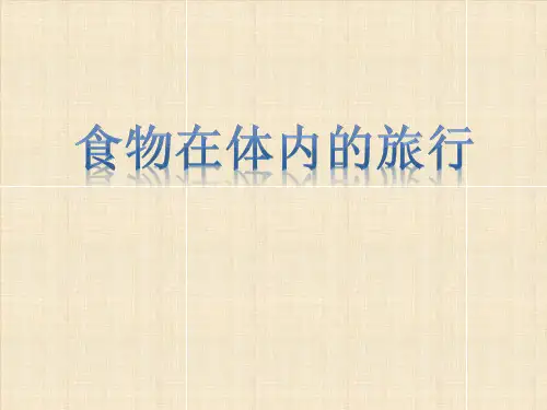 食物在体内的旅行(流程图)