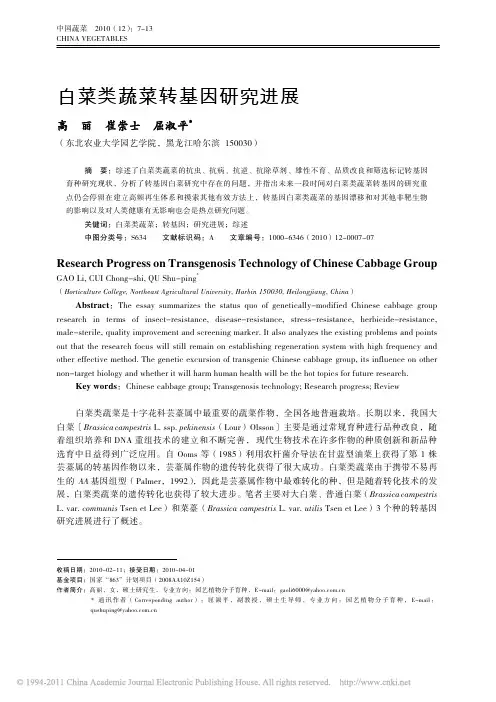 白菜类蔬菜转基因研究进展_高丽