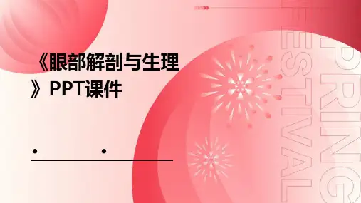 《眼部解剖与生理》课件