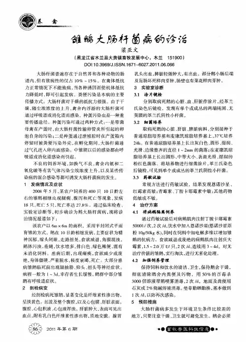 雏鹅大肠杆菌病的诊治