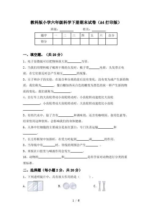 教科版小学六年级科学下册期末试卷(A4打印版)