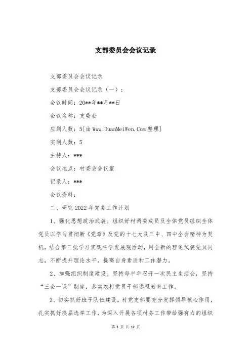 支部委员会会议记录