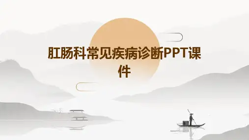肛肠科常见疾病诊ppt课件