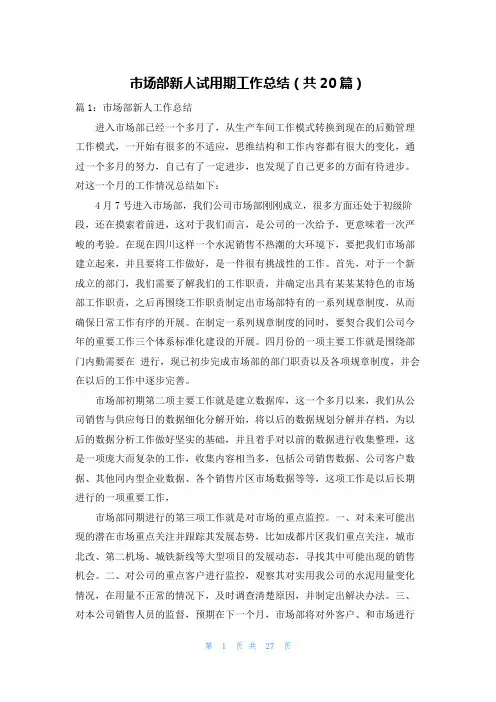 市场部新人试用期工作总结(共20篇)