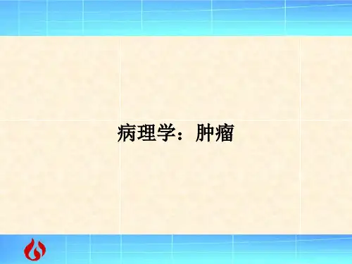 病理学：肿瘤PPT教案