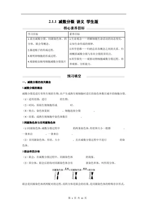 高中生物人教2019版必修2减数分裂讲义