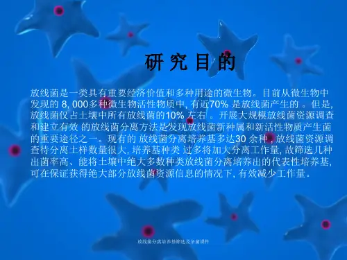 放线菌分离培养基筛选及杂菌课件