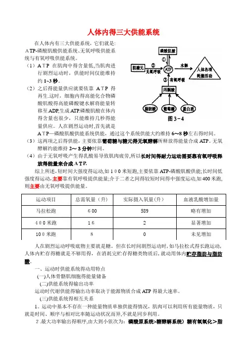 人体三大供能系统
