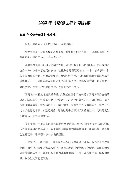 2023年《动物世界》观后感