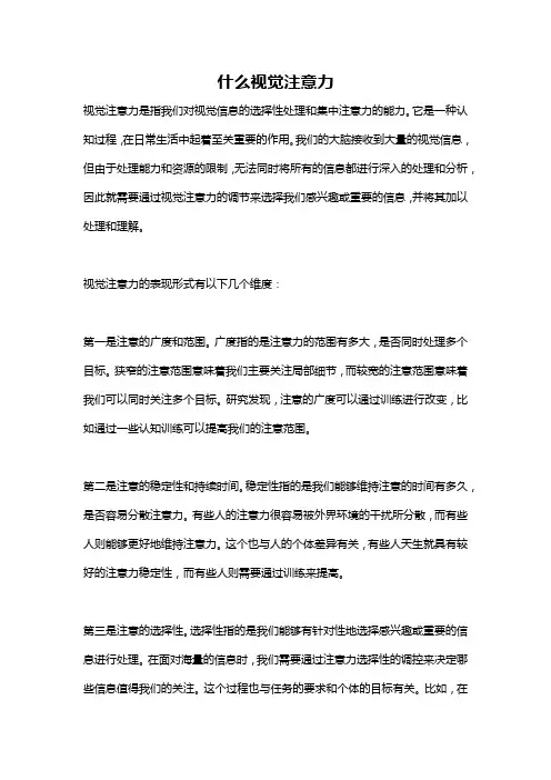 什么视觉注意力
