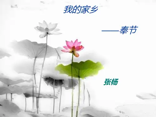 我的家乡-奉节