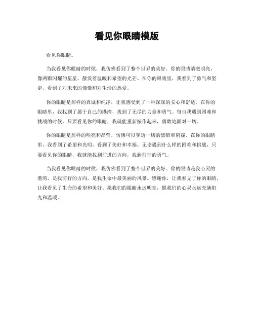 看见你眼睛模版